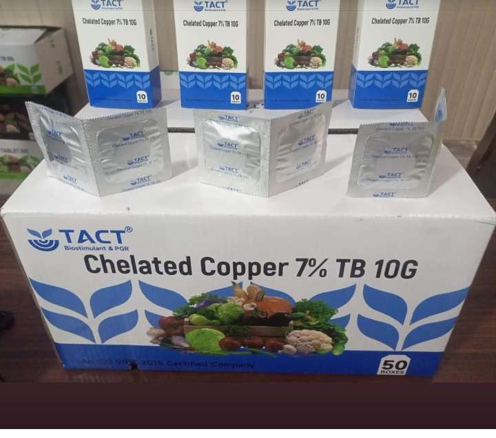 Copper Tablet