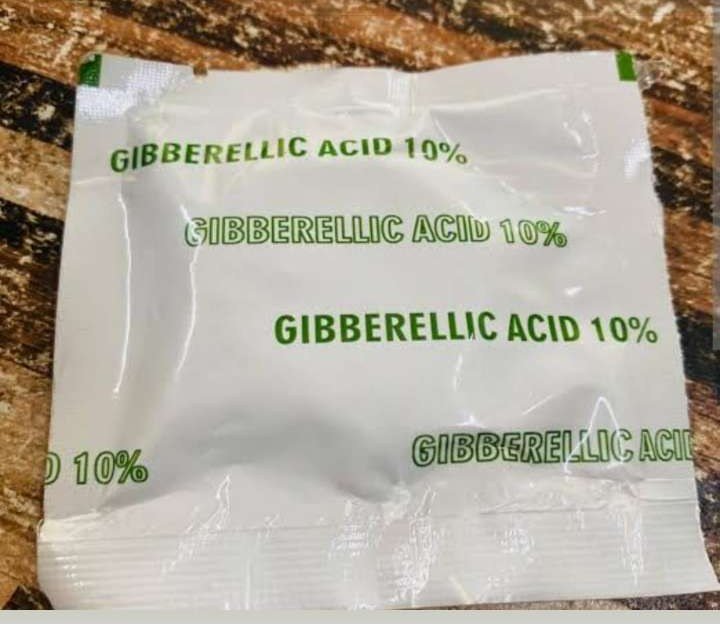 Gibberellic Acid Tablet 10%