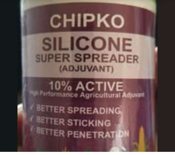 Silicon Super Spreader