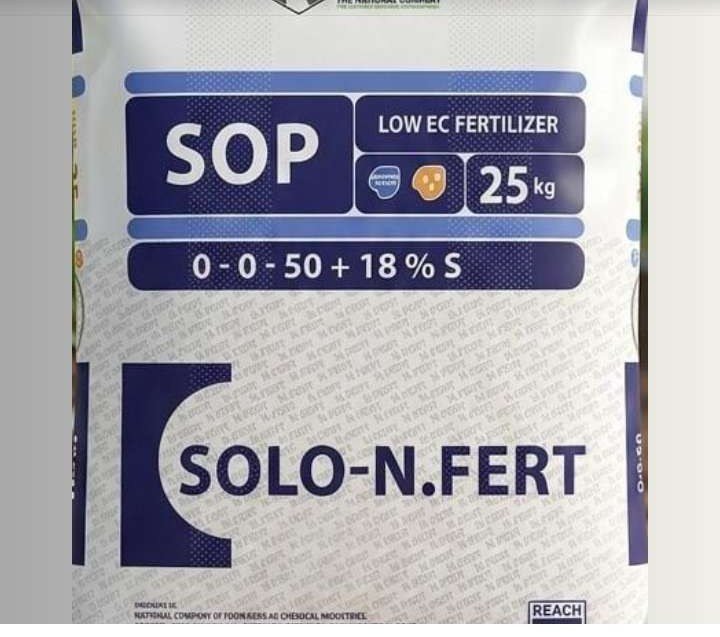 Solo SOP