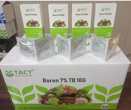 Boron Tablet