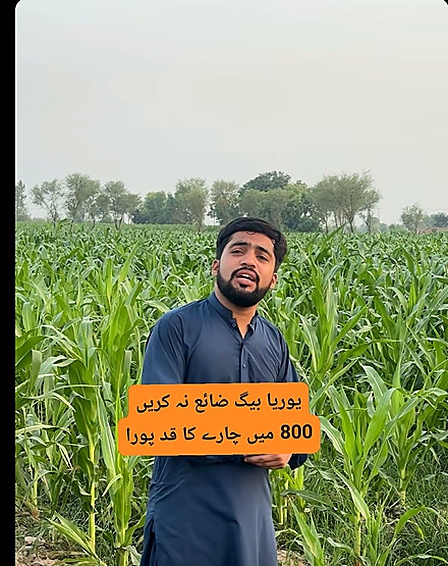 Maize & potato training session, Zeeshan AgriTech Facebook video